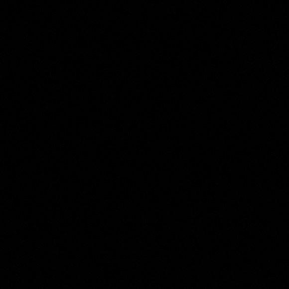 Meet your Posher, Alexzia - Picture 1 of 1